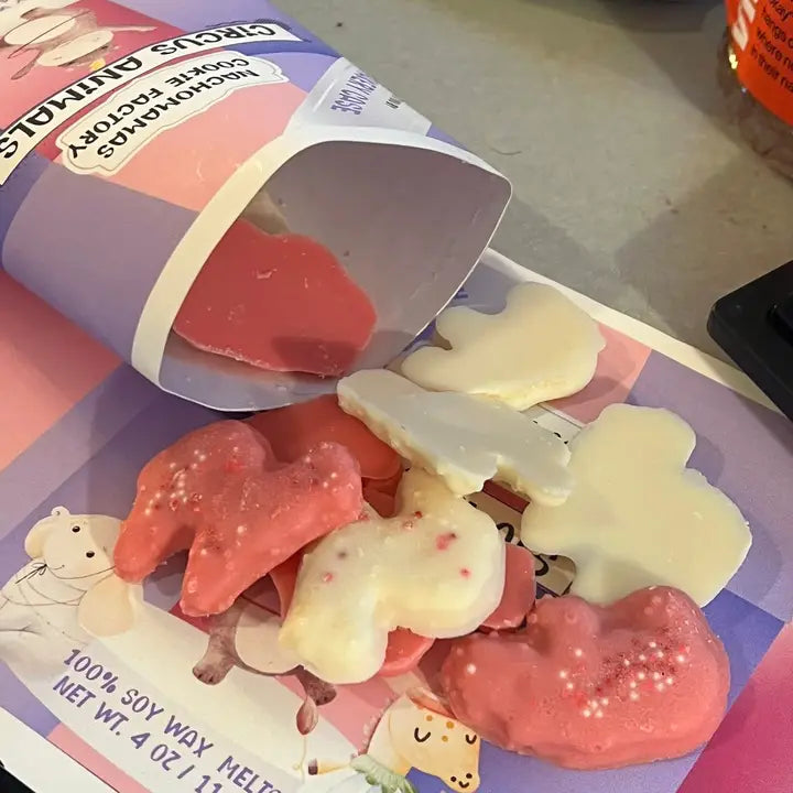 FAKERY CASE - Circus Animals Cookie Wax Melts