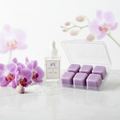 LG CLAMSHELL Sea Salt Orchid 6 oz